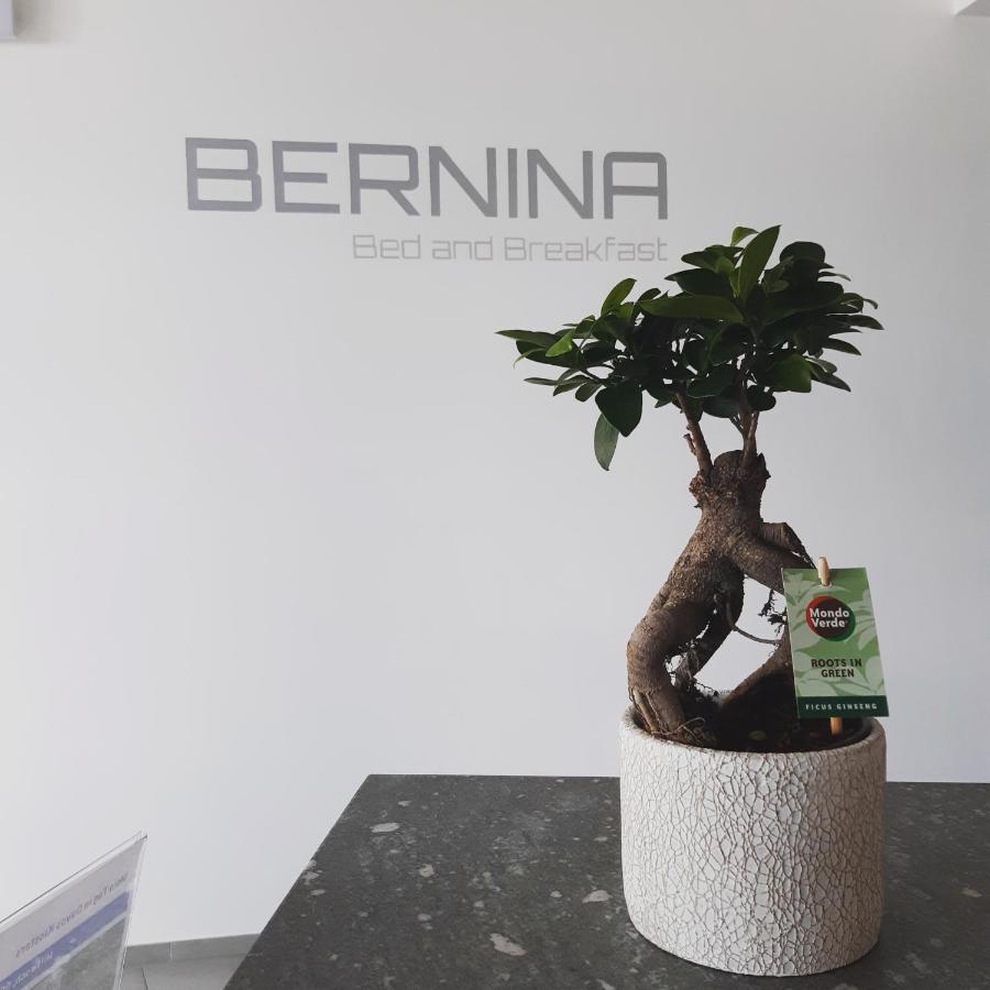 Bernina